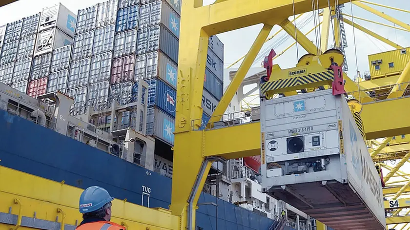 Movimentazione di container al Molo VII del Porto foto Bruni