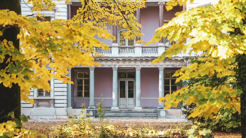 Le colonne in marmo delle Alpi Marittime al pianterreno. Fotoservizio Tibaldi