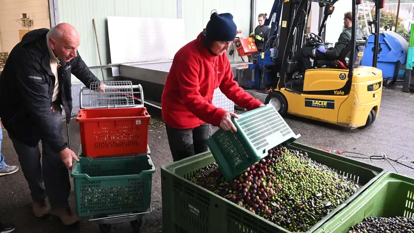 (fotoservizio Francesco Bruni)