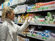 Una farmacista al lavoro tra scaffali pieni di medicinali e integratori (foto Silvano)