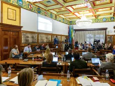 Il Consiglio comunale di Pola in una seduta recente