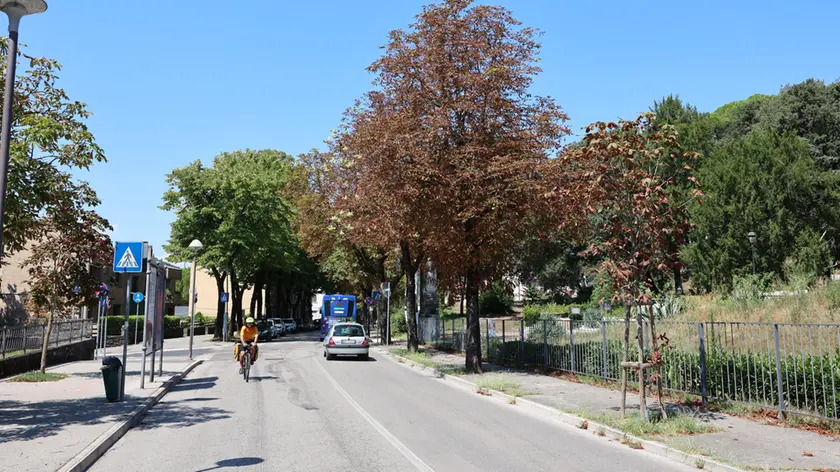 Un’immagine di viale XX Settembre (foto archivio Bumbaca)