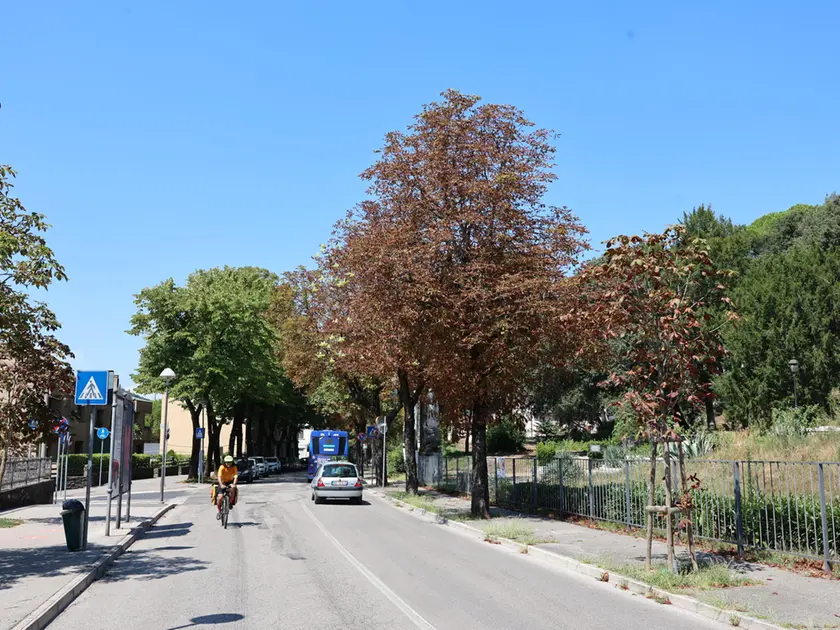 Un’immagine di viale XX Settembre (foto archivio Bumbaca)
