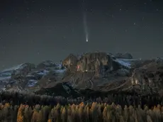 La foto di Fabio De Villa