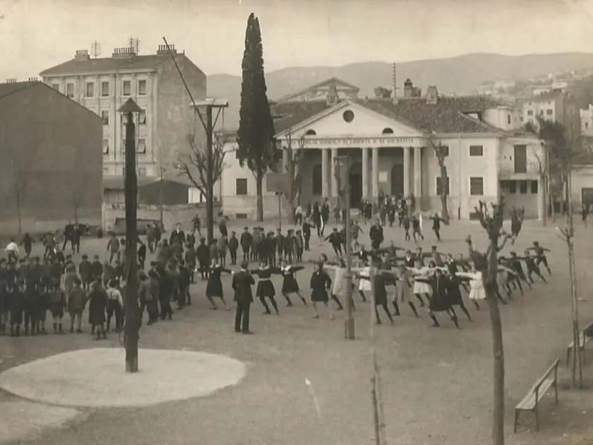 (foto proprietà archivio Società Ginnastica Triestina)