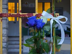 I fiori davanti alla scuola di Giovanni Trame (Lasorte)