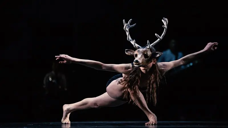 Uno spettacolo di MN Dance Company (foto Urška Boljkovac)