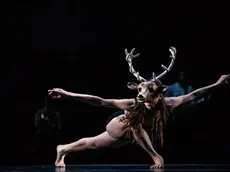 Uno spettacolo di MN Dance Company (foto Urška Boljkovac)