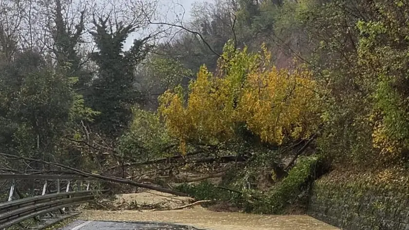 Collegamento interrotto: la frana sulla strada provinciale tra Dolegna del Collio e Brazzano