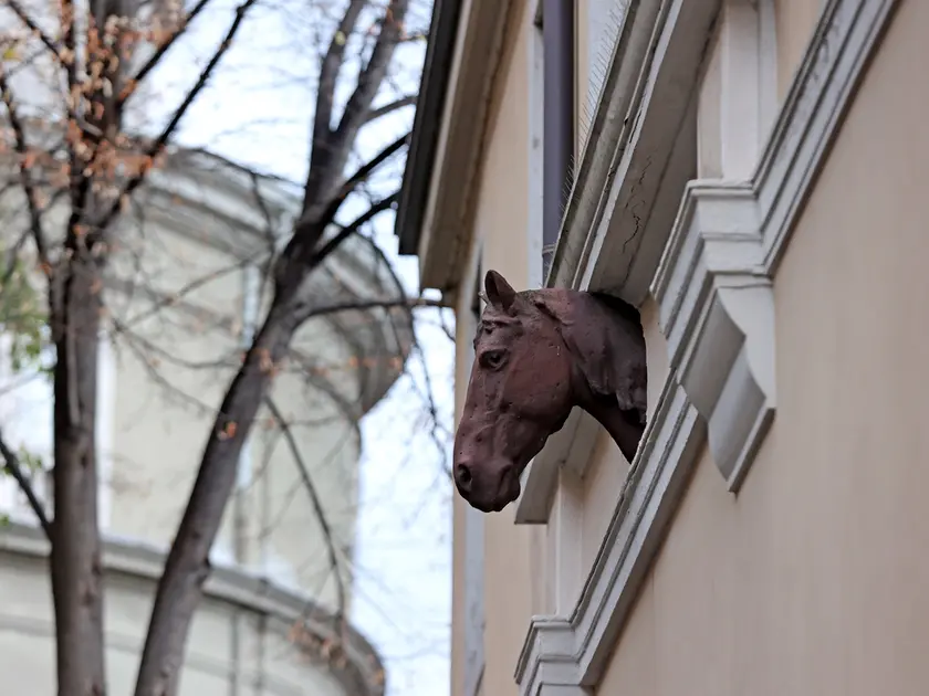 La testa di cavallo in via Vittorino da Feltre (fotoservizio Andrea Lasorte)