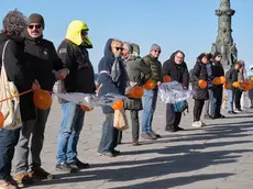 La manifestazione contro l’antenna di Visogliano in piazza Unità durante la riunione in Prefettura Foto Silvano