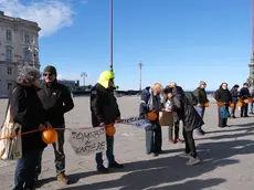 La manifestazione contro l’antenna di Rfi a Visogliano durante la riunione in Prefettura Foto Massimo Silvano