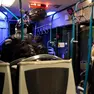 L’aggressione è avvenuta a bordo di un autobus della linea B