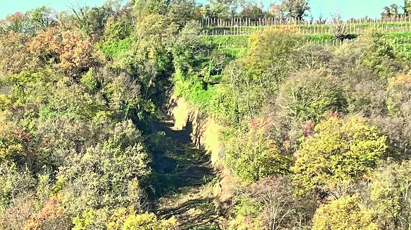 La frana sulla collina di Gramogliano dopo il maltempo che ha interessato i Colli orientali