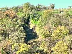 La frana sulla collina di Gramogliano dopo il maltempo che ha interessato i Colli orientali