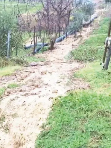 Una immagine della frana scesa tra le vigne a Brazzano nel 2017