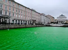 Il canale Ponterosso colorato di verde (Silvano)