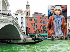 L'acqua verde sul Canal Grande a Venezia (foto Marta Buso/Interpress)
