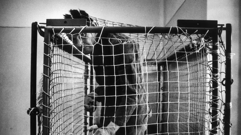 Uno scatto di Depardon in mostra a Gorizia