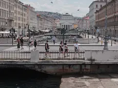 Il doppio ponte Bianco e Verde lungo le Rive (Lasorte)