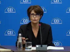 L'assessore regionale Alessia Rosolen