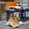 Cartoni abbandonati all’esterno dei cassonetti Foto Lasorte