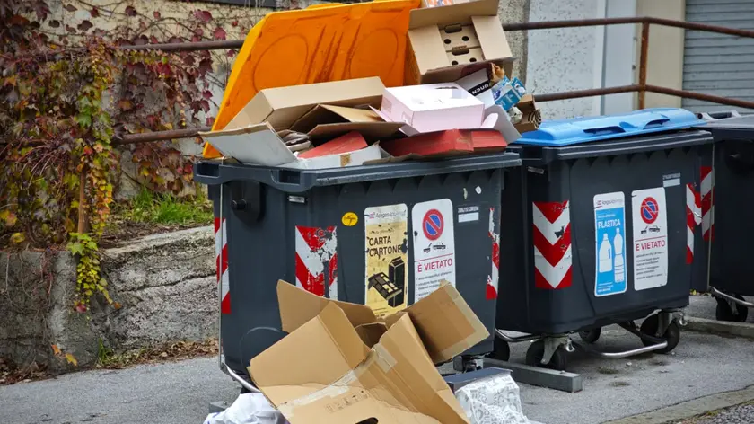 Cartoni abbandonati all’esterno dei cassonetti Foto Lasorte