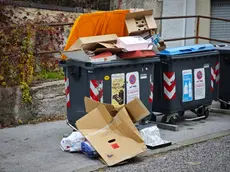 Cartoni abbandonati all’esterno dei cassonetti Foto Lasorte