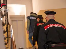 L'operazione dei carabinieri