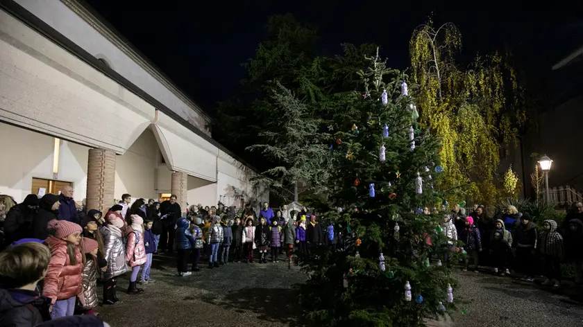 L’accensione dell’albero nel 2024 (foto Bonaventura)