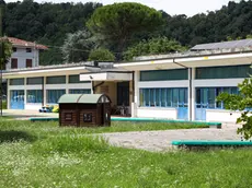 La scuola Furlani di Gorizia