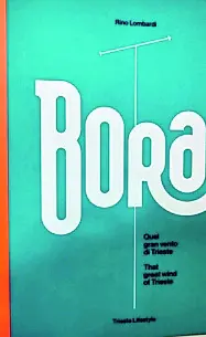 La copertina del libro