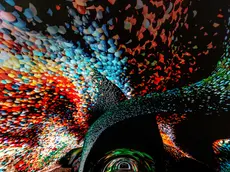 Il Data Tunnel a Gorizia (Foto di Fabrice Gallina)