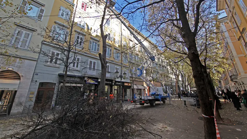 Le operazioni iniziate in viale XX Settembre (Lasorte)