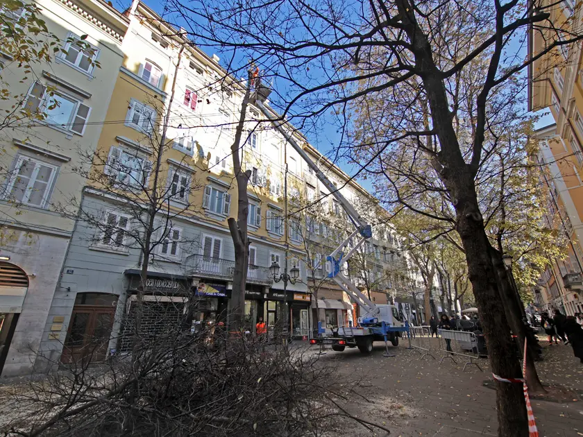 Le operazioni iniziate in viale XX Settembre (Lasorte)