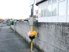 Fuori sul luogo dell'incidente mortale a Ronchi (Bonaventura)