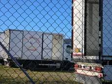 Due automezzi della Food Innovation Srl di Mossa, azienda che fornisce servizi alla ristorazione