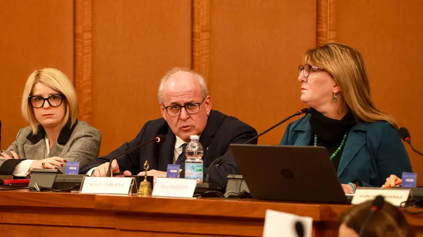 Ziberna in consiglio comunale (TIbaldi)