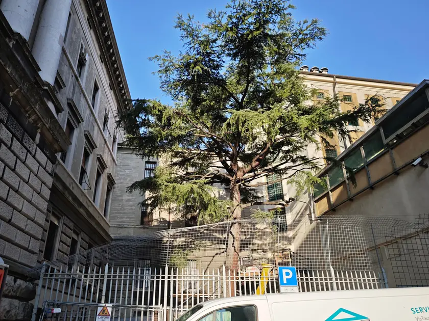 Il carcere del Coroneo (Lasorte)