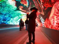 La nuova Galleria Bombi a Gorizia (Tibaldi)