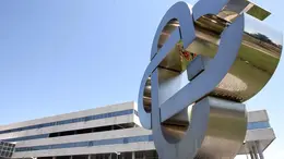 Simbolo Banche di Credito Cooperativo.