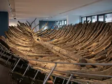 (fotoservizio Katia Bonaventura)