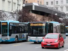 Autobus della Trieste Trasporti in servizio. Foto Lasorte