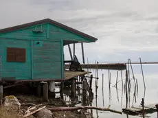Uno dei tanti casoni tra il 2016 e il 2018 Foto di Katia Bonaventura
