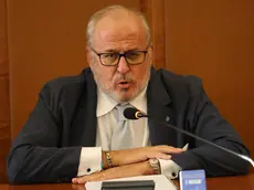 Il sindaco Rodolfo Ziberna in Consiglio comunale