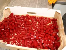 Le caramelle al Thc, principio attivo della cannabis