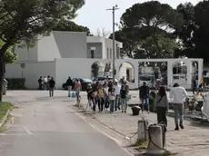 La Baia vicino a Castelreggio, nella stradina che porta a Portopiccolo sarà ripristinata la toilette Foto Lasorte