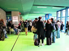 Gli studenti che il 10 dicembre a Udine, al Polo dei Rizzi, hanno sostenuto la seconda prova per l’accesso alla facoltà di medicina