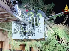 Un intervento dei pompieri nel Monfalconese