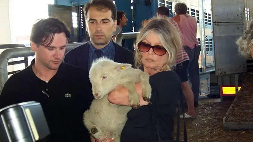Brigitte Bardot con gli animalisti alla Sdag di Gorizia. Foto Bumbaca